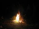 tn_gallery_120_141_12504.jpg